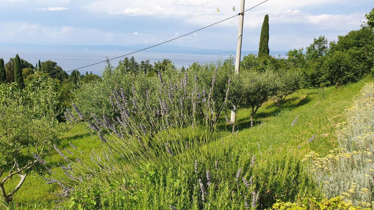 Apartments Bancic Πορτορόζ Εξωτερικό φωτογραφία